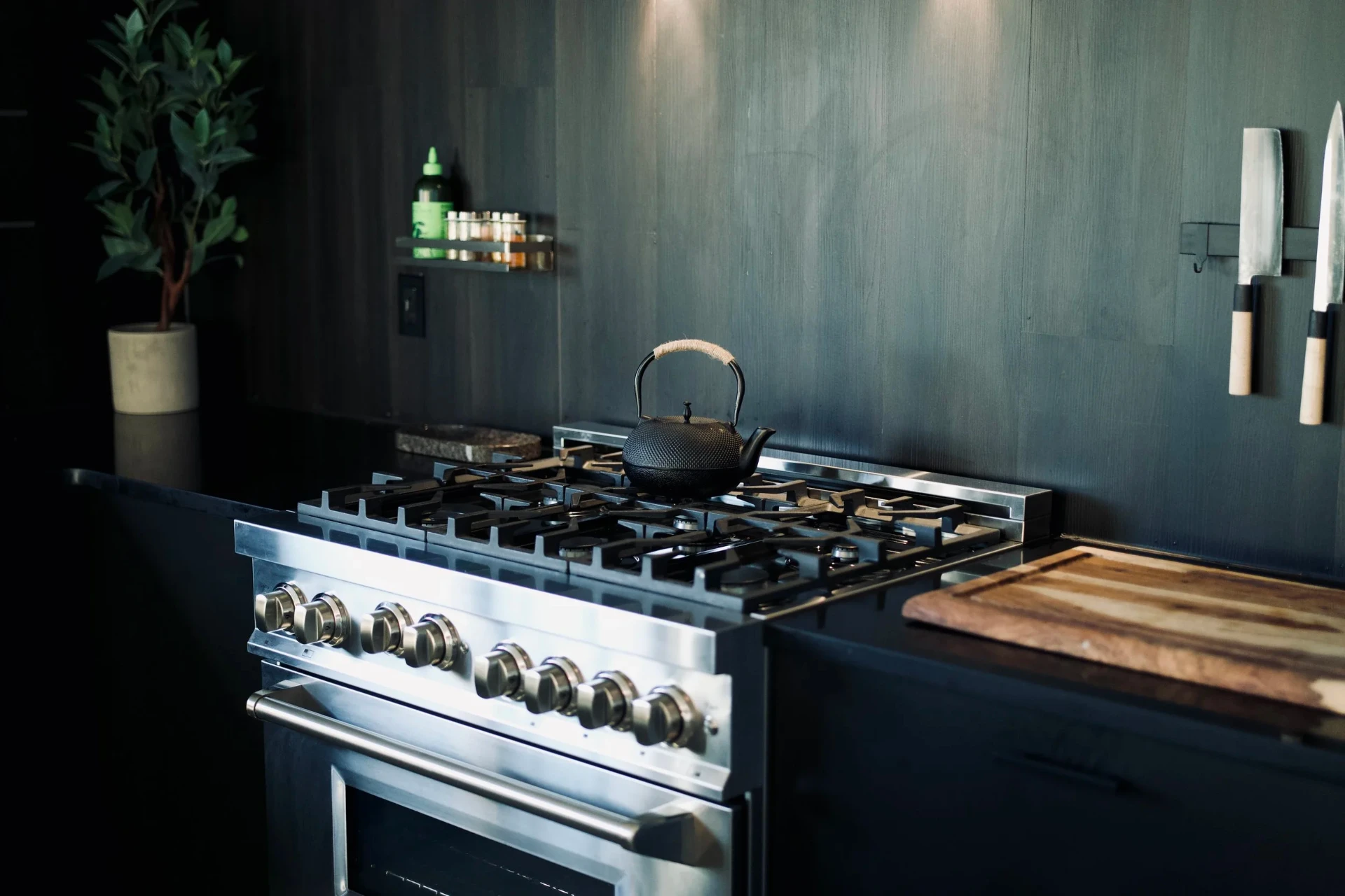 Main kitchen range and details